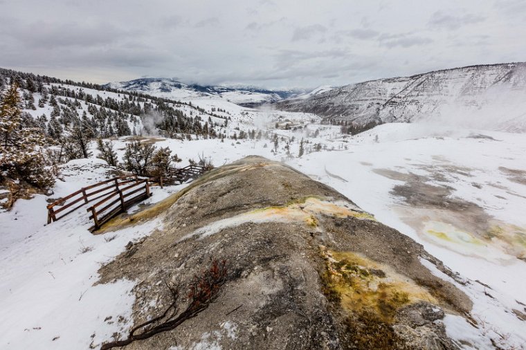 46 Yellowstone NP.jpg